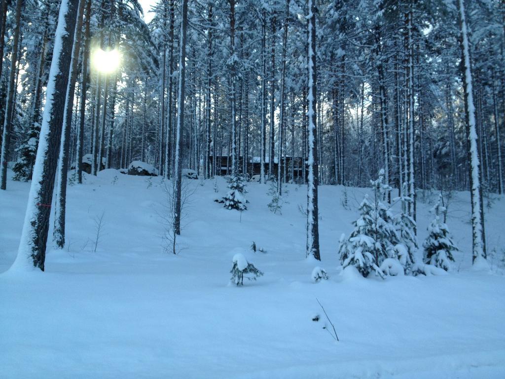 Kultainen Kaava Cottages Padasjoki Eksteriør billede